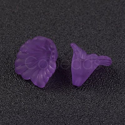 Transparent Acrylic Beads PL622-C01-1