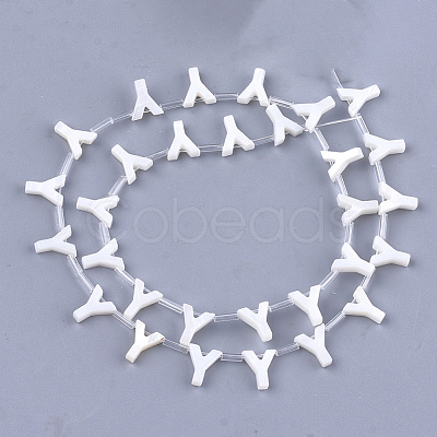 Freshwater Shell Beads X-SHEL-T012-59Y-1