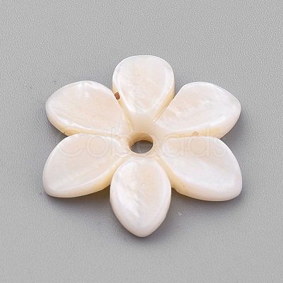 Natural Freshwater Shell Beads SHEL-S269-32-1