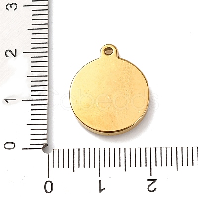 304 Stainless Steel Pendants STAS-N129-13A-G01-1