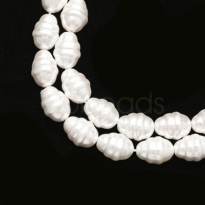 Shell Pearl Beads Strands PEAR-T005-02-1