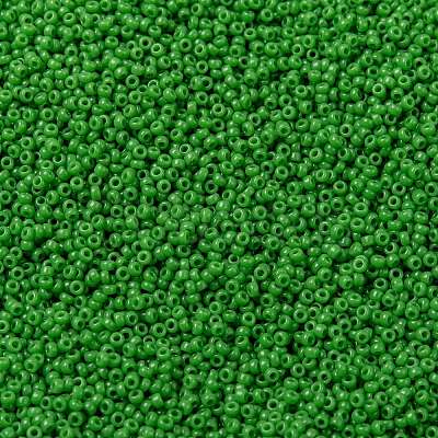 MIYUKI Round Rocailles Beads X-SEED-G009-RR0411-1