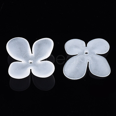 Transparent Acrylic Beads FACR-N005-003-1