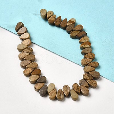 Natural Picture Jasper Beads Strands G-B064-B02-1