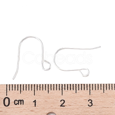 925 Sterling Silver Earring Hooks STER-G011-19-1