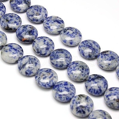 Natural Flat Round Blue Spot Jasper Beads Strands G-L246-01-1