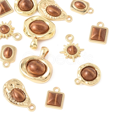 12Pcs 6 Styles Alloy Resin Pendants FIND-FS0004-05-1