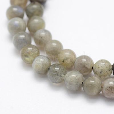 Natural Labradorite Beads Strands G-P322-33-8mm-1