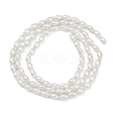 Electroplated Shell Pearl Beads Strands BSHE-Z009-10B-1
