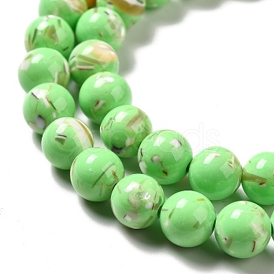 Synthetic Turquoise and Sea Shell Assembled Beads Strands G-D482-01E-02-1