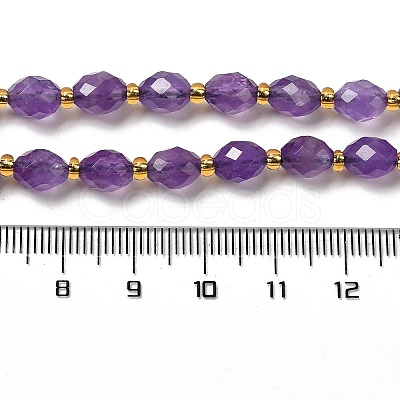 Natural Amethyst Beads Strands G-H297-C09-01-1