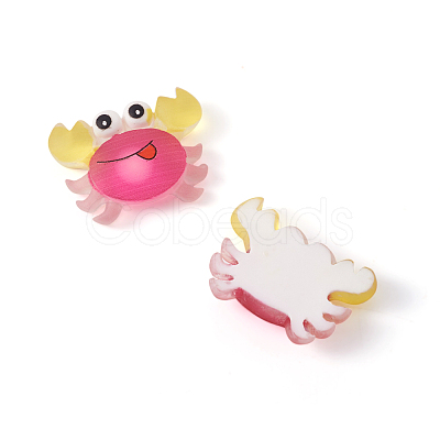 Opaque Resin Cabochons CRES-TAC0002-09-1