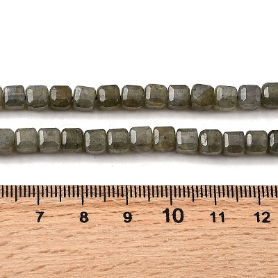 Natural Labradorite Beads Strands G-F797-A09-01-1
