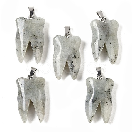 Natural Labradorite Pendants G-G115-01B-1