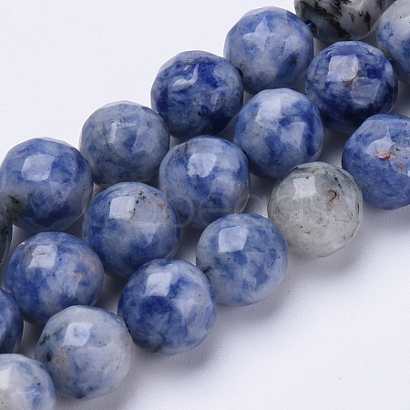 Natural Brazil Sodalite Beads Strands G-S281-10-6mm-1