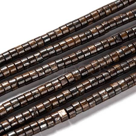 Natural Bronzite Bead Strands G-F631-A43-1