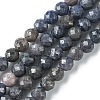 Natural Sapphire Beads Strands G-F748-M01-02-1