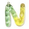 Resin Pendant FIND-Q107-01N-02-1