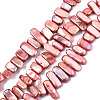 Natural Freshwater Shell Beads Strands X-SHEL-N026-123C-1