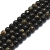 Natural Biotite Beads Strands G-P457-C02-01-1