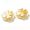 UV Plated Acrylic Beads SACR-G033-03D-3