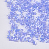 Glass Bugle Beads SEED-S023-15C-05-2