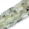 Natural Prehnite Beads Strands X-G-S345-8x11-007-1