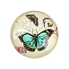 Butterfly Printed Glass Half Round/Dome Cabochons GGLA-N004-25mm-C-2