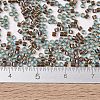MIYUKI Delica Beads X-SEED-J020-DB1775-4