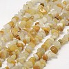 Natural Topaz Jade Beads Strands X-G-F328-16-1