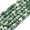 Natural Green Spot Jasper Beads Strands G-K245-B15-02-1