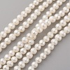Natural Cultured Freshwater Pearl Beads Strands PEAR-G007-18-1