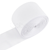 Polyester Ribbon OCOR-WH0109-357B-1