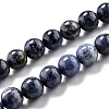 Natural Dumortierite Quartz Beads Strands G-L574-07B-1