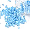 DIY Craft Beads 6/0 Ceylon Round Glass Seed Beads X-SEED-A011-4mm-143-1