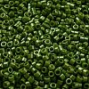 Baking Paint Glass Seed Beads SEED-S042-05A-21-3