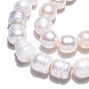 Natural Cultured Freshwater Pearl Beads Strands PEAR-N012-10E-5