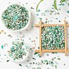 Natural Amazonite Chip Beads G-FS0001-16-6