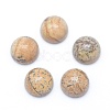 Natural Picture Jasper Cabochons G-E492-H-04-1