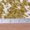 MIYUKI Delica Beads X-SEED-J020-DB0909-2