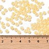 Glass Seed Beads SEED-H002-H-1307-4