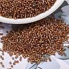 MIYUKI Delica Beads X-SEED-J020-DB1779-1