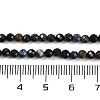 Natural Sapphire Beads Strands G-P553-G07-02-5