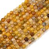 Natural Agate Beads Strands G-H302-A01-14-2