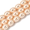 Electroplated Shell Pearl Beads Strands BSHE-B008-07C-1