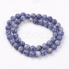 Natural Blue Spot Jasper Bead Strands G-R193-15-6mm-4