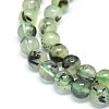 Natural Prehnite Beads Strands G-F602-01-6mm-3