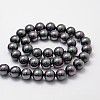 Shell Pearl Bead Strands BSHE-L025-05-10mm-2