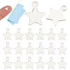 20Pcs 925 Sterling Silver Charms STER-ME0001-50-1
