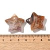 Natural Amethyst Lace Agate Pendants G-A244-08F-3